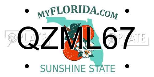 QZML67 Florida License Plate