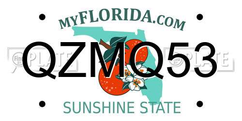 QZMQ53 Florida License Plate