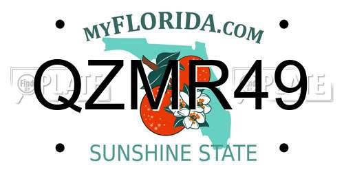 QZMR49 Florida License Plate