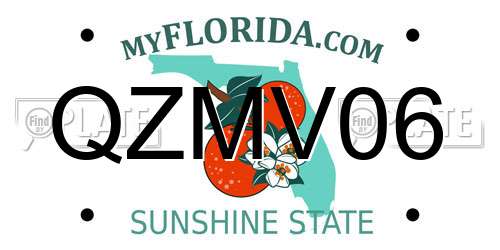 QZMV06 Florida License Plate