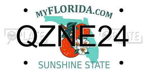 QZNE24 Florida License Plate