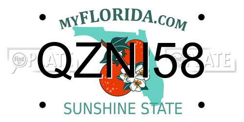 QZNI58 Florida License Plate