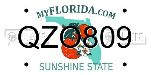 QZO809 Florida License Plate