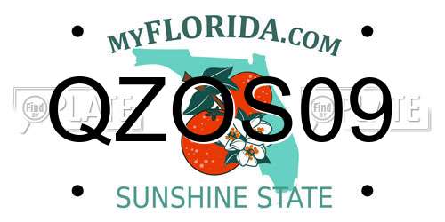 QZOS09 Florida License Plate