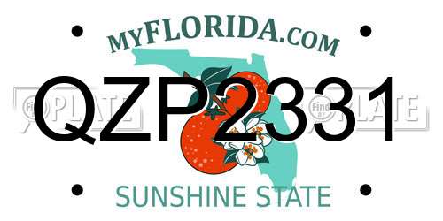 QZP2331 Florida License Plate