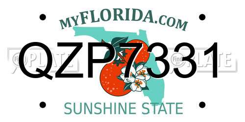 QZP7331 Florida License Plate
