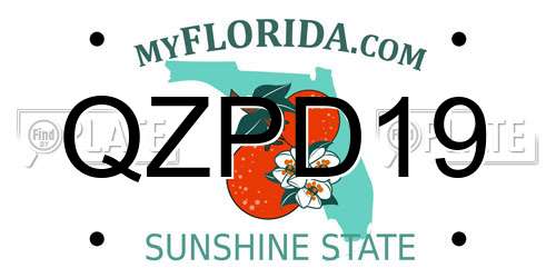 QZPD19 Florida License Plate