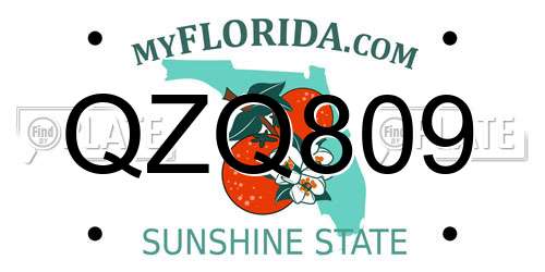 QZQ809 Florida License Plate