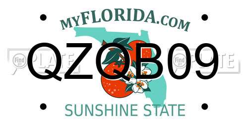 QZQB09 Florida License Plate