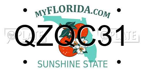QZQC31 Florida License Plate