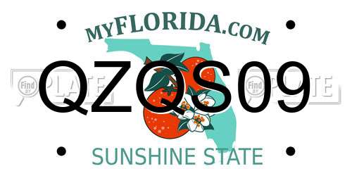QZQS09 Florida License Plate
