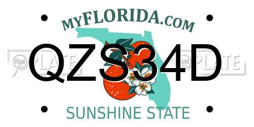 QZS34D Florida License Plate