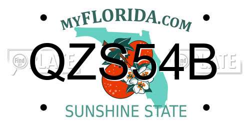 QZS54B Florida License Plate
