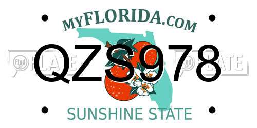 QZS978 Florida License Plate