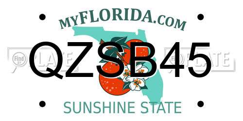 QZSB45 Florida License Plate