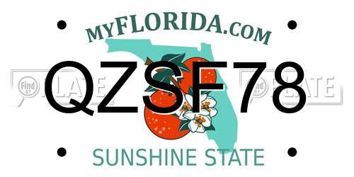 QZSF78 Florida License Plate