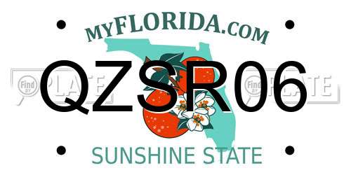 QZSR06 Florida License Plate