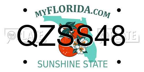 QZSS48 Florida License Plate