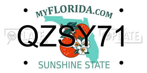 QZSY71 Florida License Plate