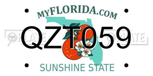 QZT059 Florida License Plate