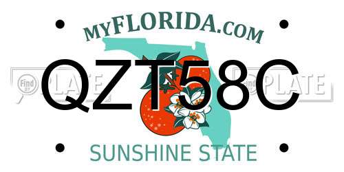 QZT58C Florida License Plate