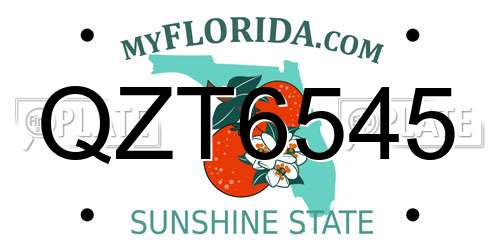 QZT6545 Florida License Plate