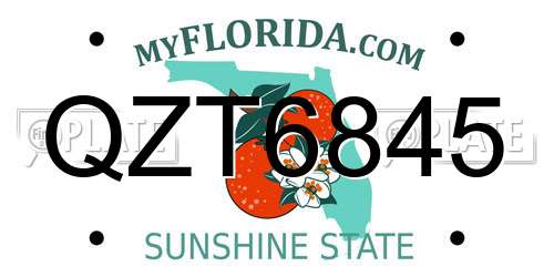 QZT6845 Florida License Plate