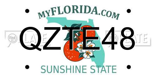 QZTE48 Florida License Plate
