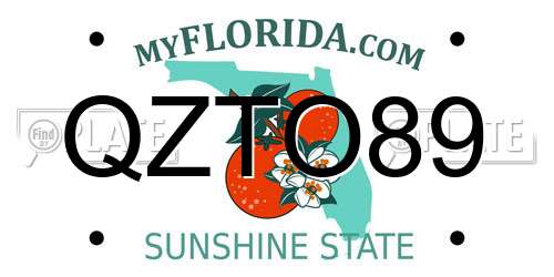 QZTO89 Florida License Plate
