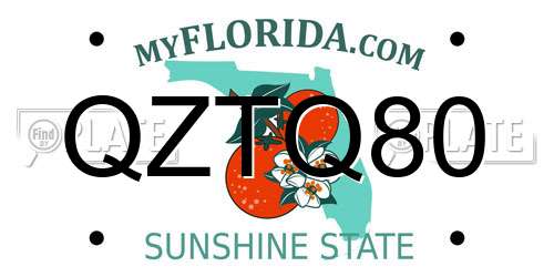 QZTQ80 Florida License Plate
