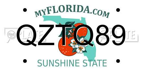 QZTQ89 Florida License Plate