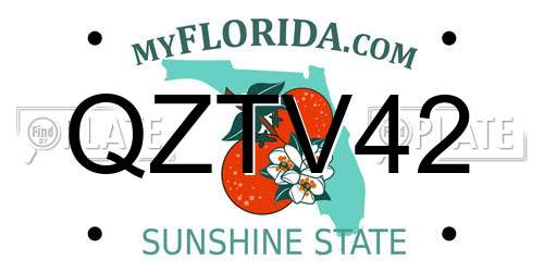 QZTV42 Florida License Plate