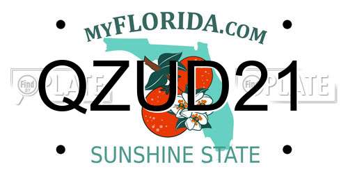 QZUD21 Florida License Plate