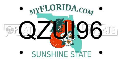 QZUI96 Florida License Plate