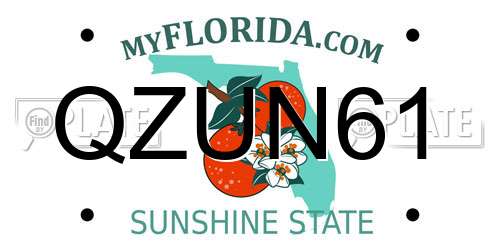 QZUN61 Florida License Plate
