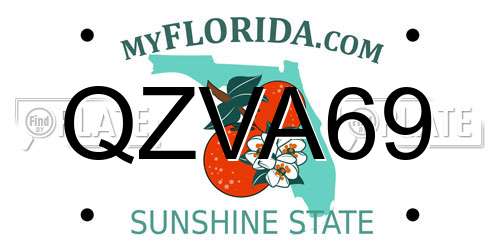 QZVA69 Florida License Plate