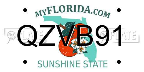 QZVB91 Florida License Plate