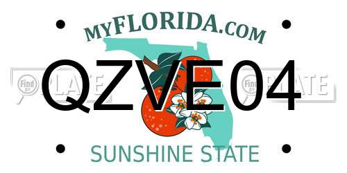 QZVE04 Florida License Plate