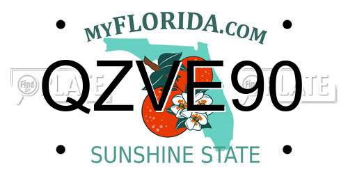 QZVE90 Florida License Plate