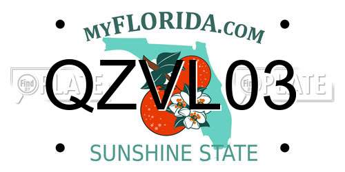 QZVL03 Florida License Plate