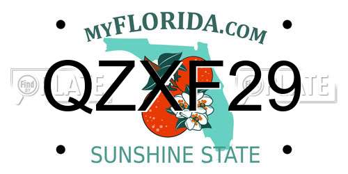 QZXF29 Florida License Plate