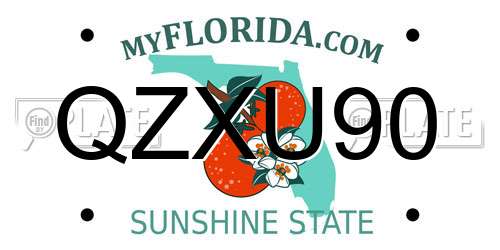 QZXU90 Florida License Plate
