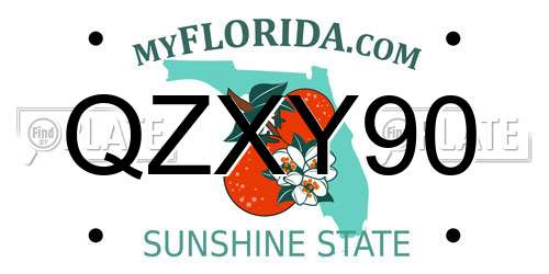 QZXY90 Florida License Plate