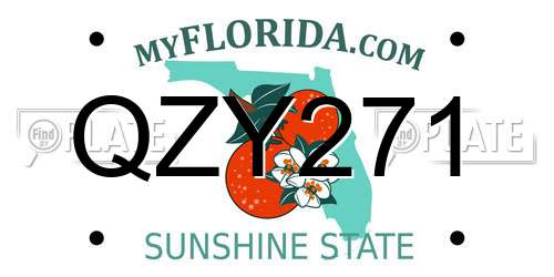 QZY271 Florida License Plate