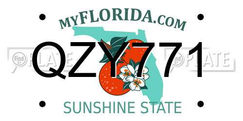 QZY771 Florida License Plate