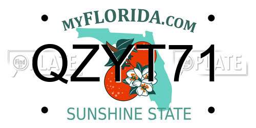 QZYT71 Florida License Plate