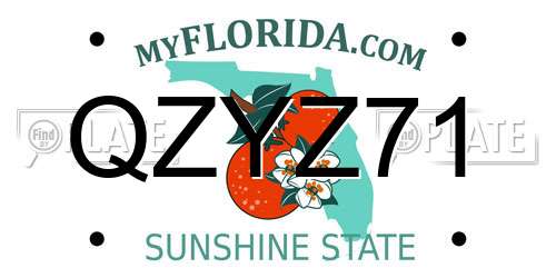 QZYZ71 Florida License Plate