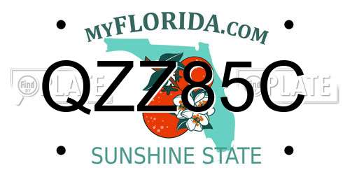 QZZ85C Florida License Plate