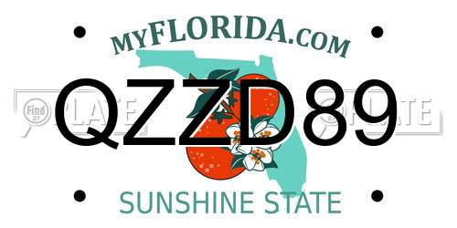 QZZD89 Florida License Plate