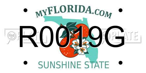 R0019G Florida License Plate